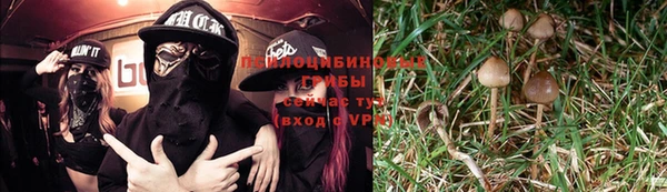 MESCALINE Инта